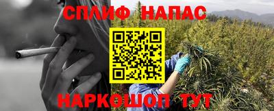 прущие грибы Туймазы