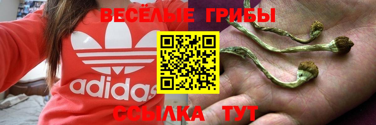 Псилоцибиновые грибы мицелий  Галлюциногенные грибы Psilocybine cubensis  Муром  Вход с VPN 